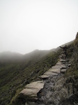 SX20642 Wouko jumping on Pyg Track, Snowdon.jpg